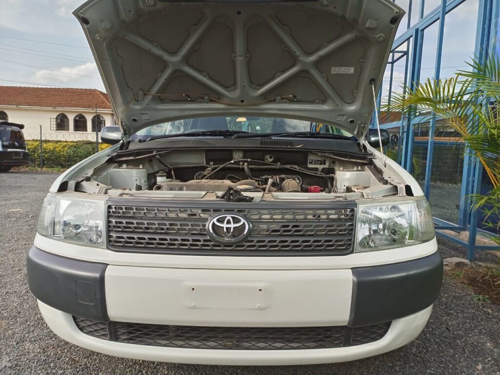 2013 Toyota Probox