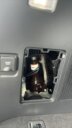 2023 Toyota Land Cruiser LC300 GR Sports thumbnail
