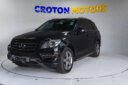 2013 Mercedes Benz ML250 thumbnail