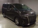 2018 Toyota Alphard thumbnail