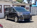 2018 Toyota Alphard thumbnail