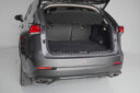 2019 Lexus Nx 300 New shape thumbnail