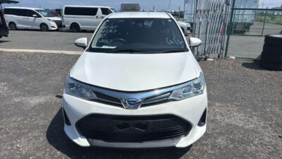 Image of 2018 Toyota Axio Hybrid
