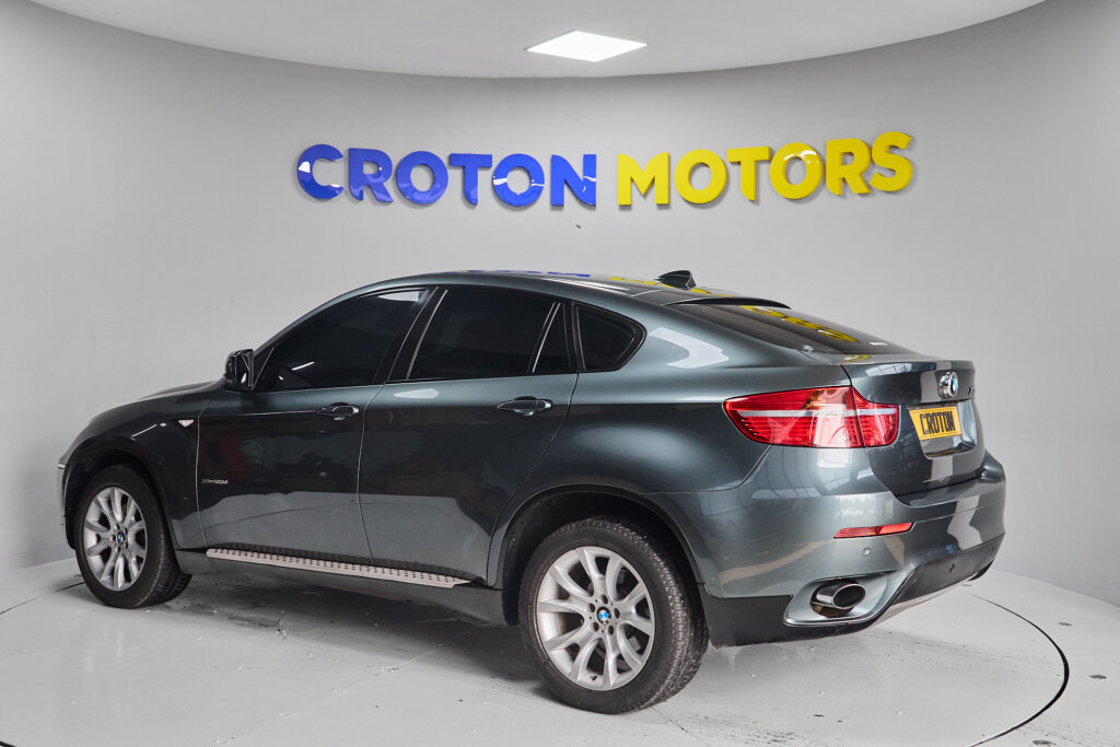 2010 BMW X6