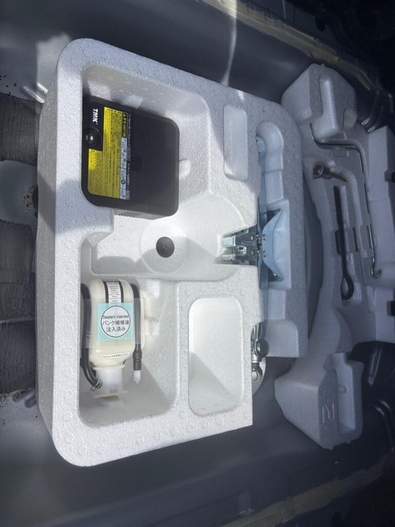 2019 Toyota Axio