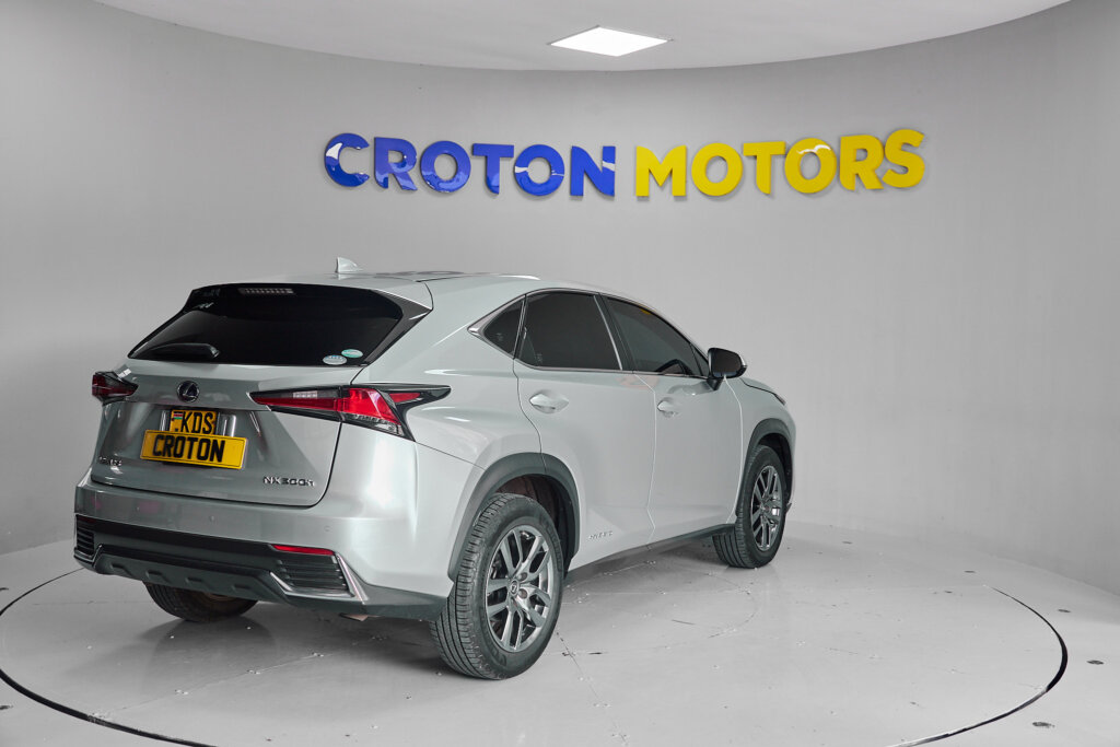 2017 Lexus NX 300