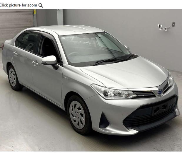 2019 Toyota Axio Hybrid