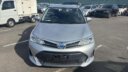 2019 Toyota Axio Hybrid thumbnail