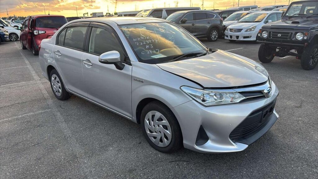 2019 Toyota Axio Hybrid