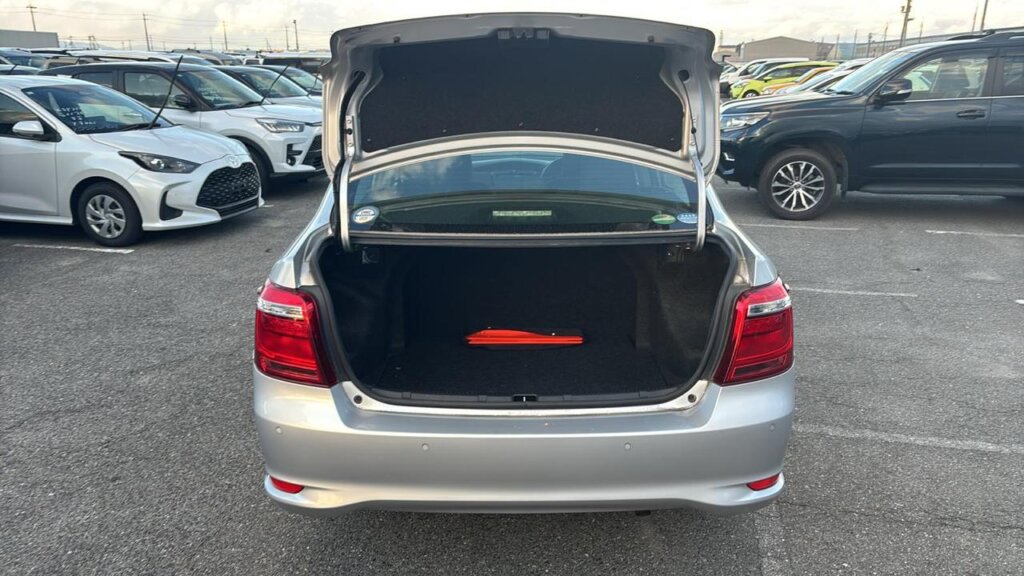 2019 Toyota Axio Hybrid