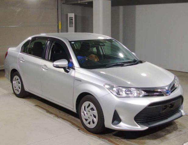 2019 Toyoyta Axio Hybrid