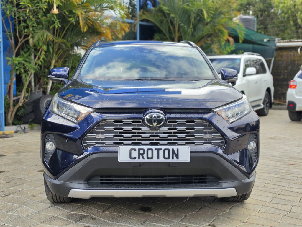 2019 TOYOTA RAV-4