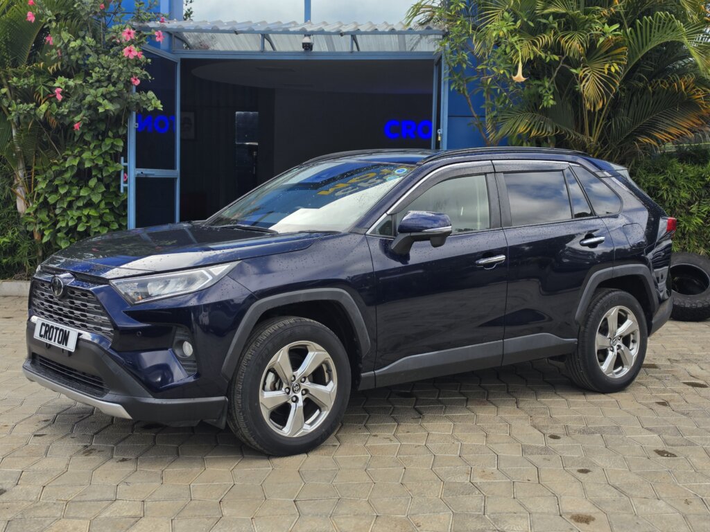 2019 TOYOTA RAV-4