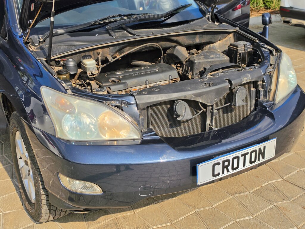 2006 Toyota Harrier