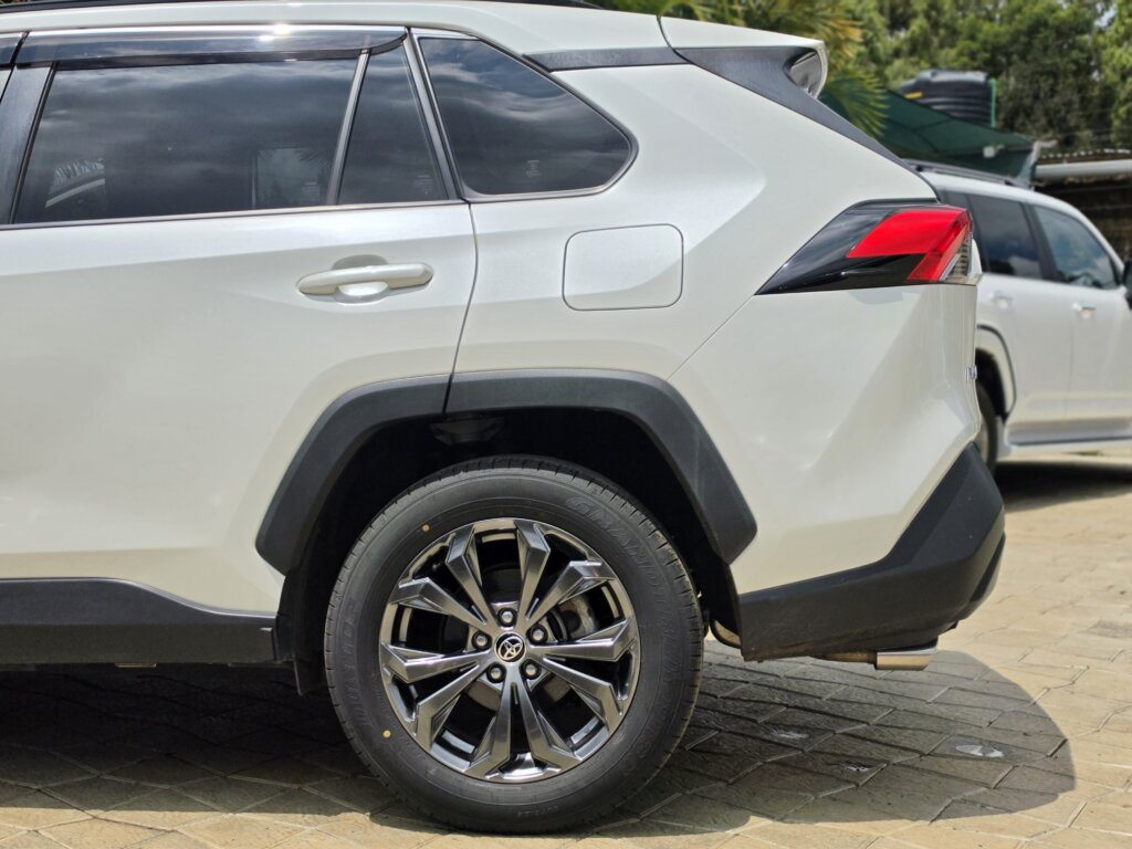2019 Toyota RAV-4