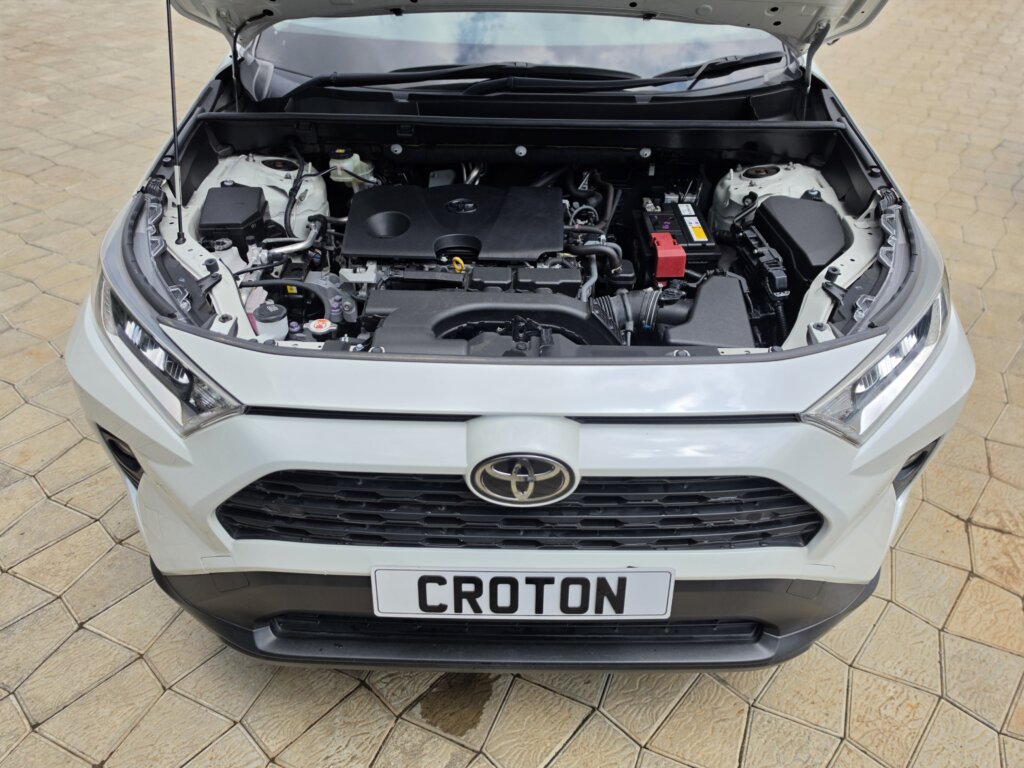 2019 Toyota RAV-4
