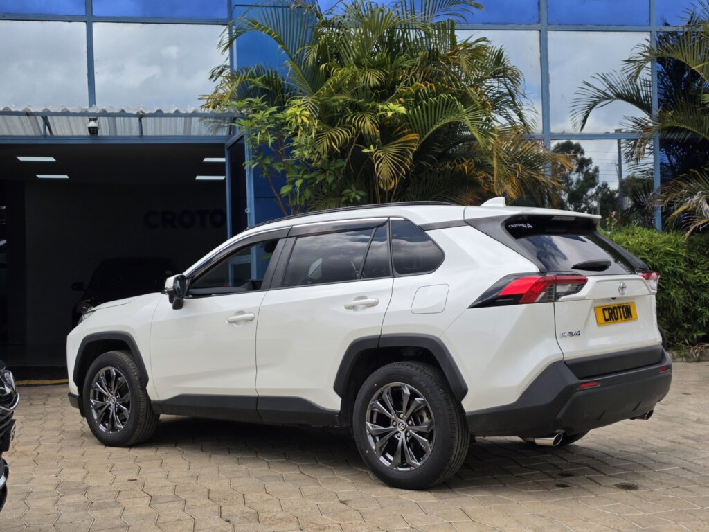 2019 Toyota RAV-4