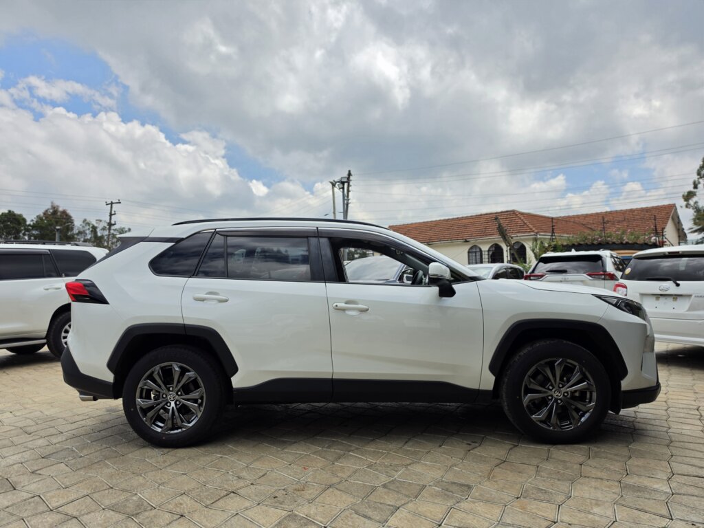 2019 Toyota RAV-4