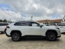 2019 Toyota RAV-4 thumbnail