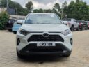 2019 Toyota RAV-4 thumbnail