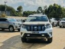 2019 Toyota Landcruiser Prado TX-L thumbnail