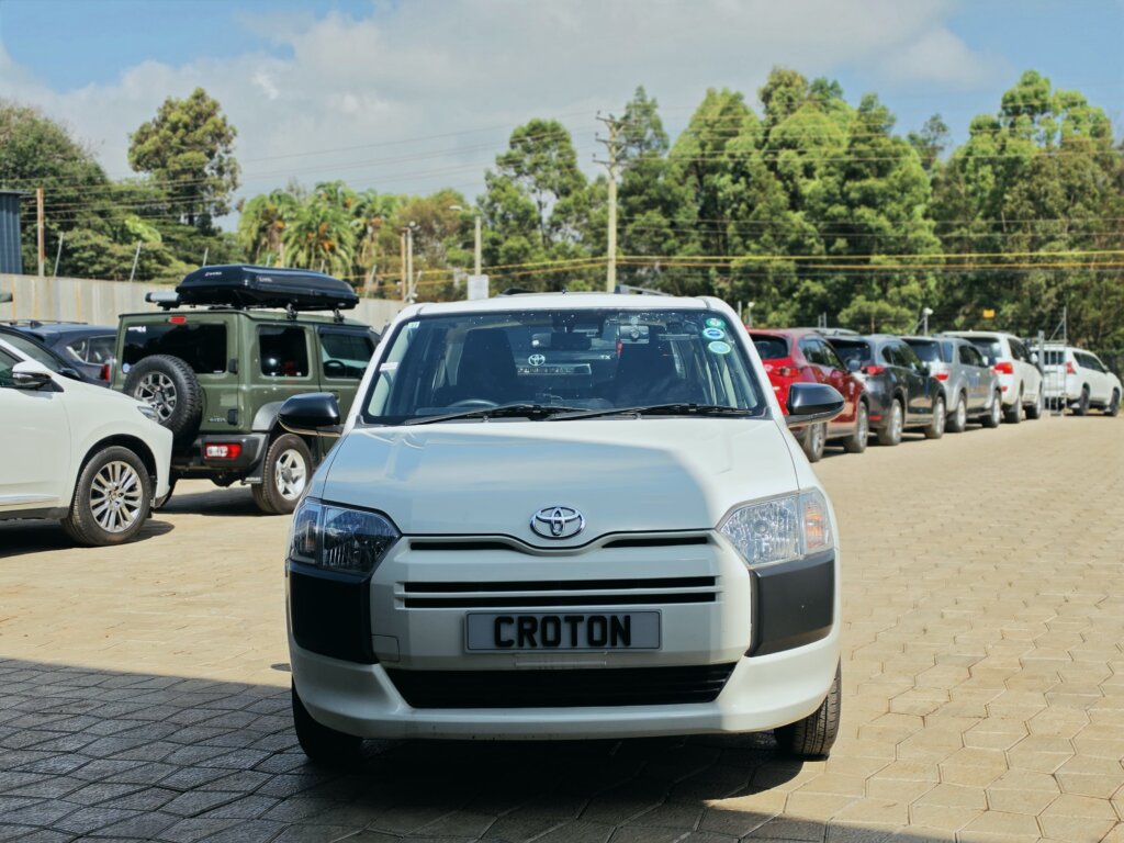 2020 Toyota Probox 4WD