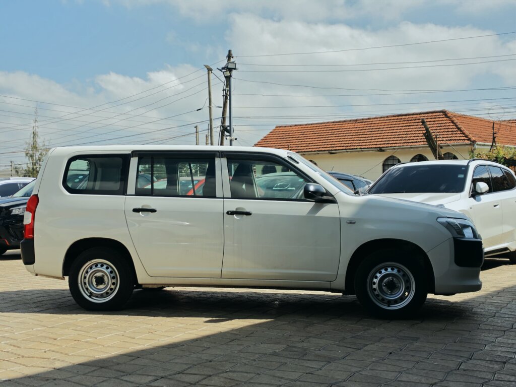 2020 Toyota Probox 4WD