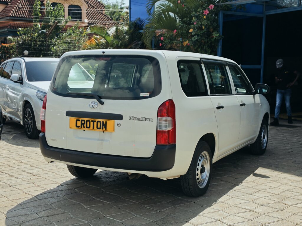 2020 Toyota Probox 4WD
