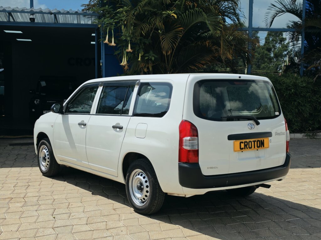 2020 Toyota Probox 4WD