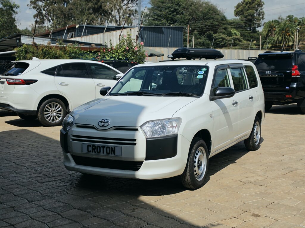 2020 Toyota Probox 4WD
