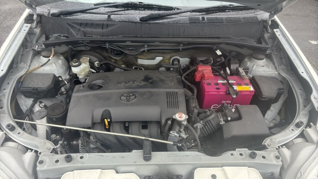 2019 Toyota Succeed