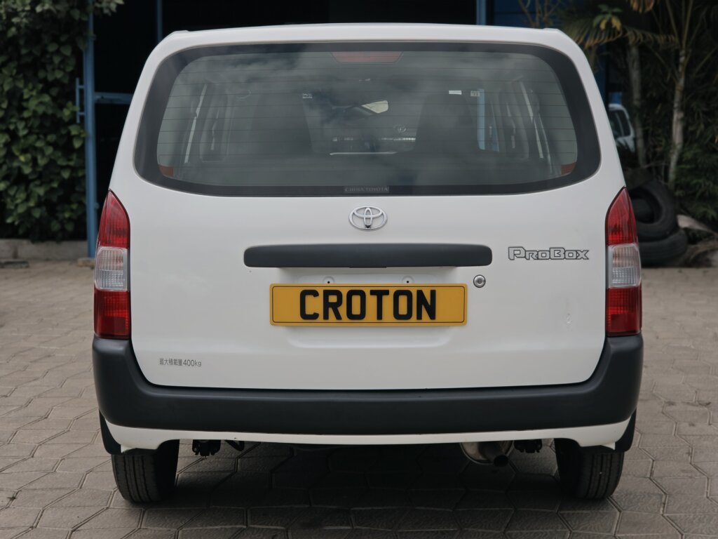 2020 Toyota Probox 4WD