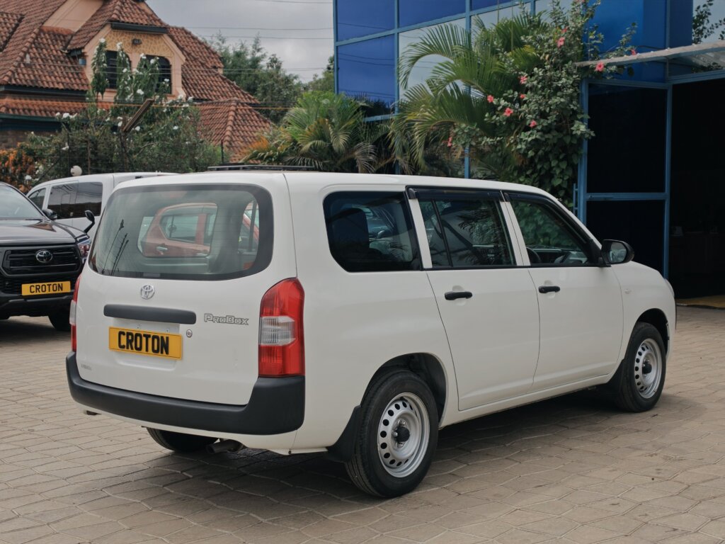 2020 Toyota Probox 4WD
