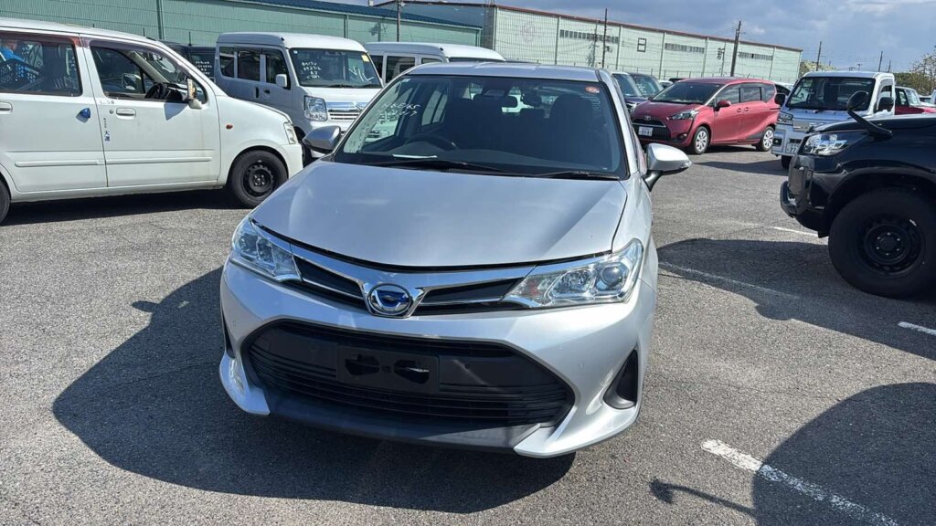 2019 Toyota Axio Hybrid