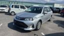 2019 Toyota Axio Hybrid thumbnail