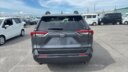 2020 Toyota RAV-4 thumbnail