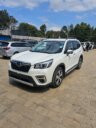 2019 Subaru Forester SKE thumbnail