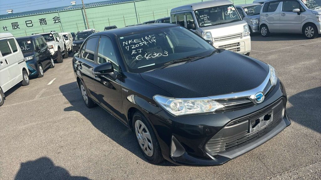 2019 Toyota Axio Hybrid