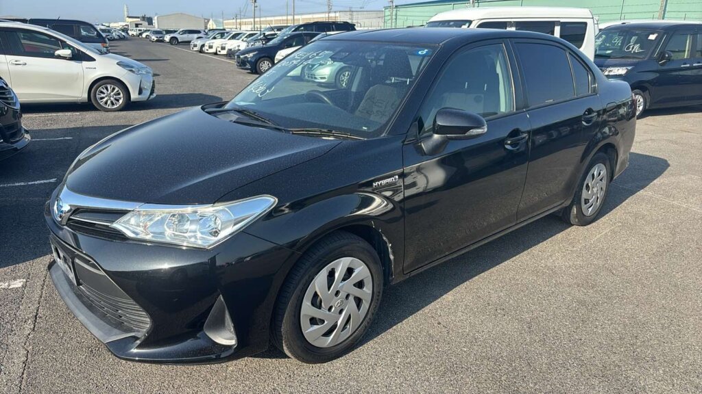 2019 Toyota Axio Hybrid