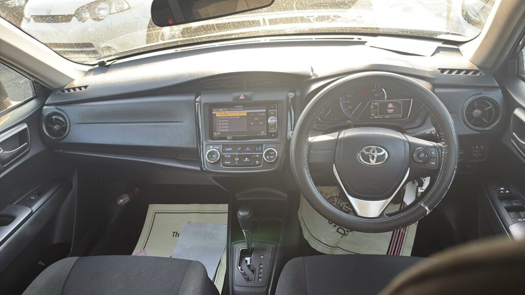 2019 Toyota Axio Hybrid