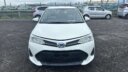 2019 Toyota Axio Hybrid thumbnail