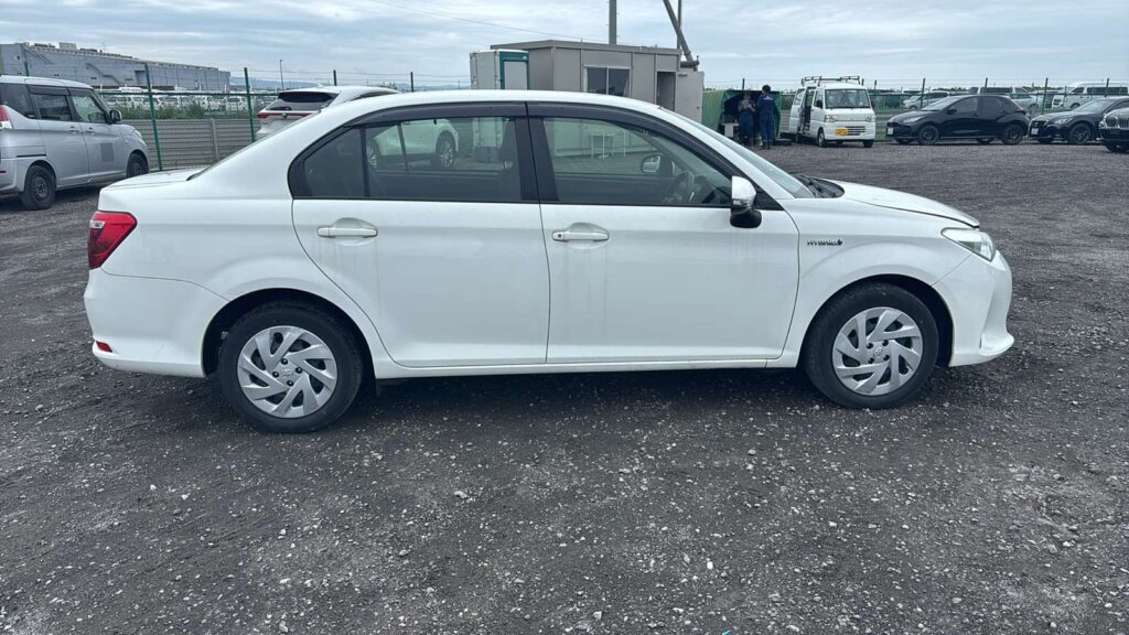 2019 Toyota Axio Hybrid