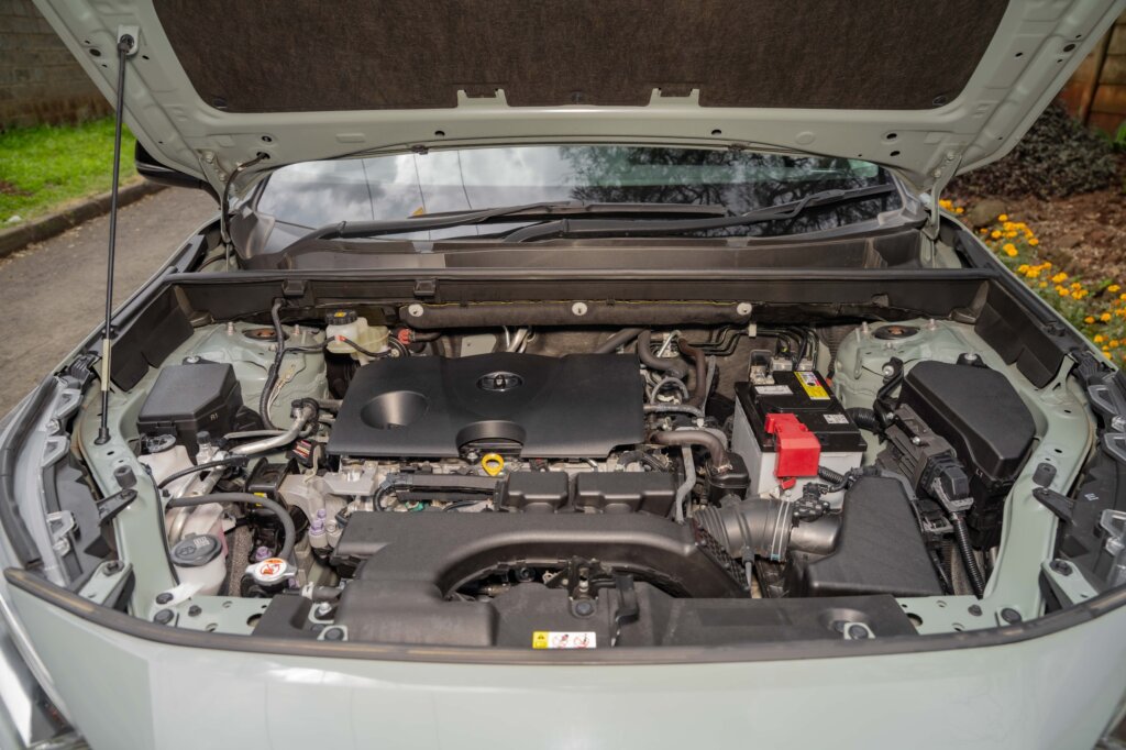2019 Toyota RAV-4