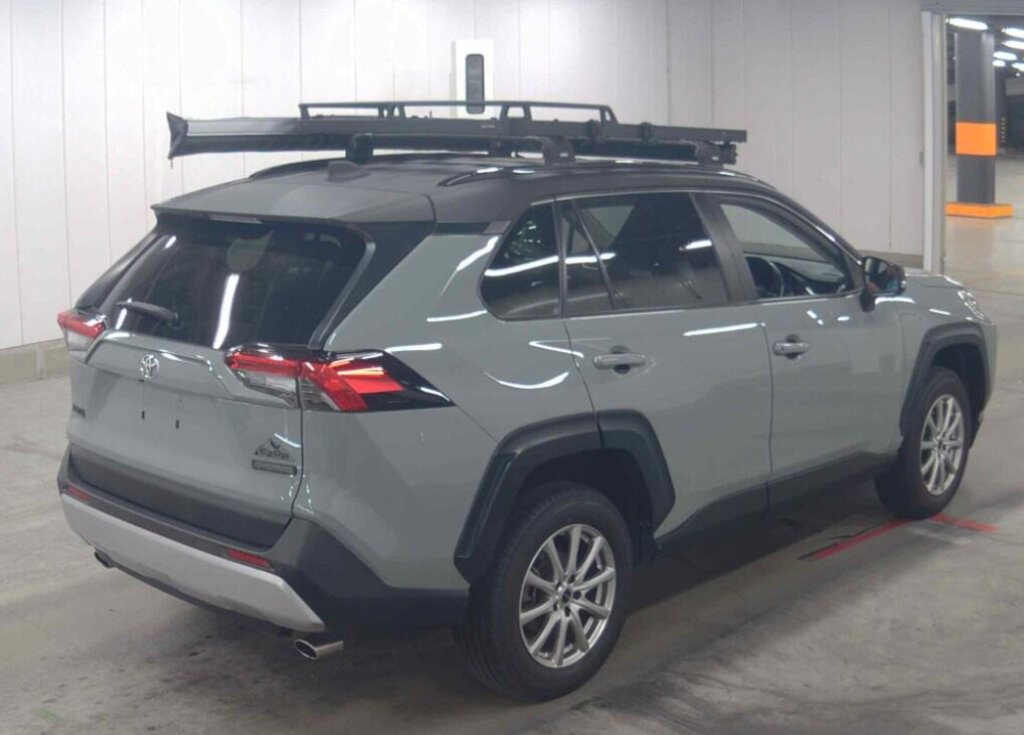 2019 Toyota RAV-4