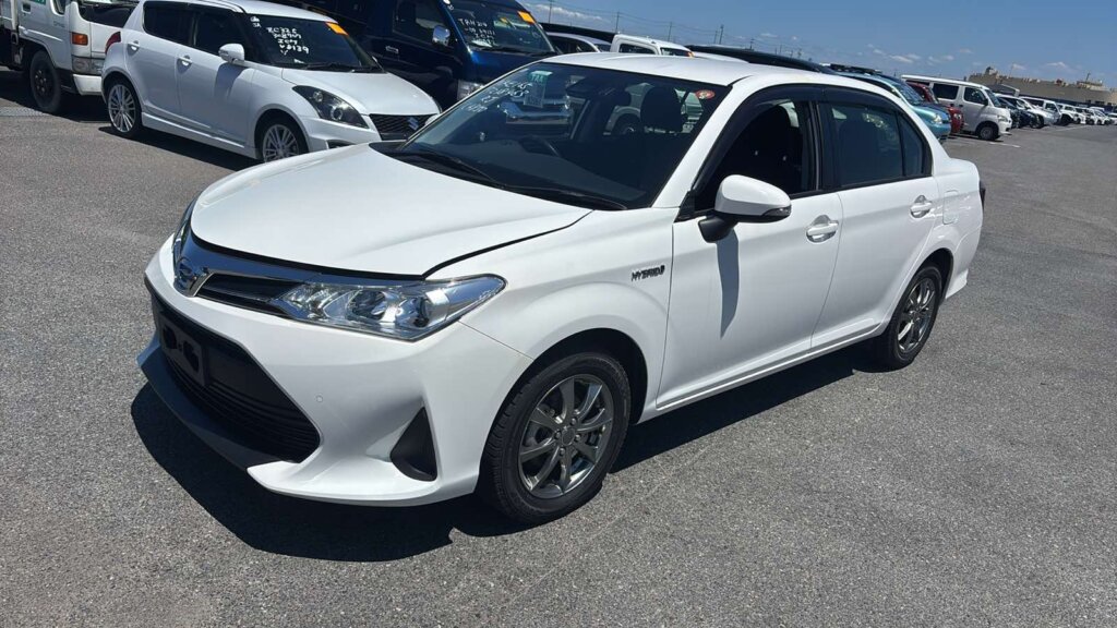 2019 Toyota Axio Hybrid