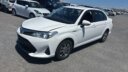 2019 Toyota Axio Hybrid thumbnail
