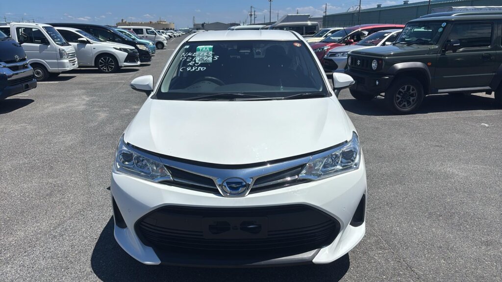 2019 Toyota Axio Hybrid