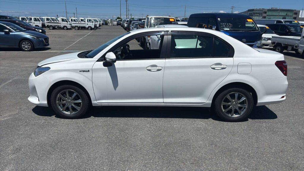 2019 Toyota Axio Hybrid
