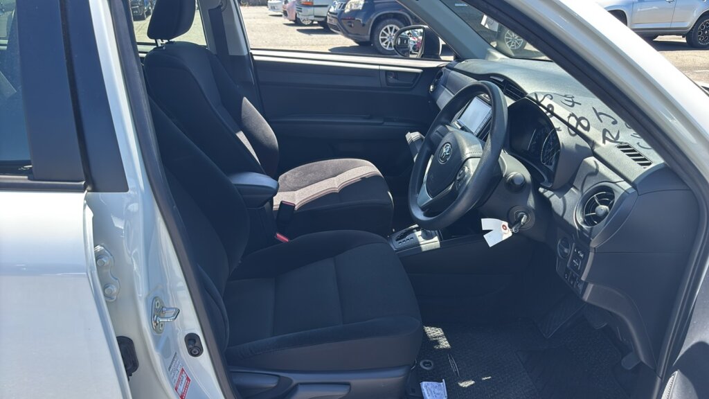 2019 Toyota Axio Hybrid