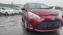 2019 Toyota Vitz Hybrid thumbnail